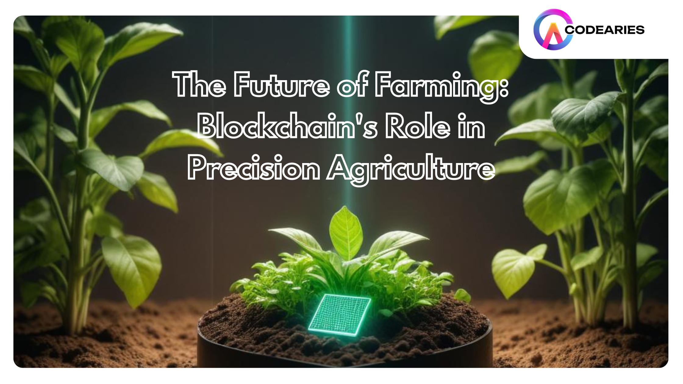 The Future of Farming Blockchain's Role in Precision Agriculture