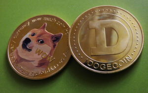 dogecoin(DOGE)