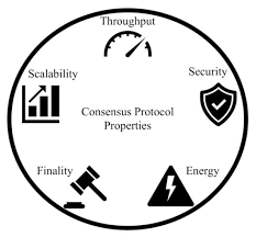 Blockchain consensus protocols