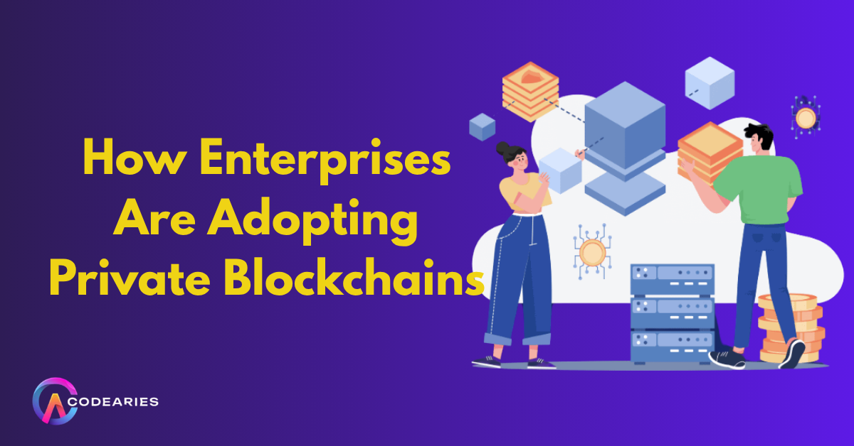 How Enterprises Are Adopting Private Blockchains