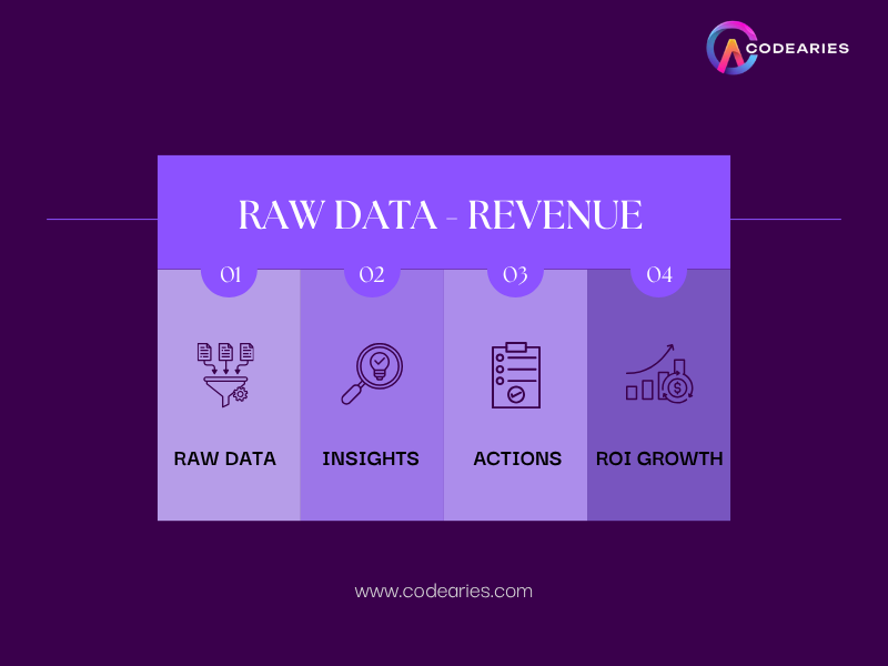Raw Data Revenue