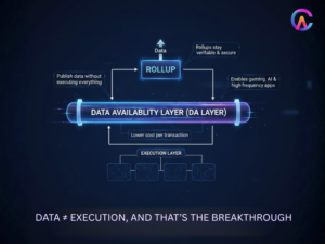 Data Availability Layer